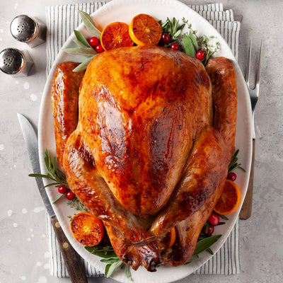 The Guide To Having The Perfect Turkey This Thanksgiving